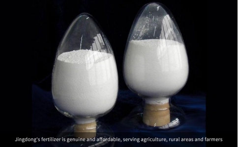 JD-801Solid Ammonium Polyphosphate